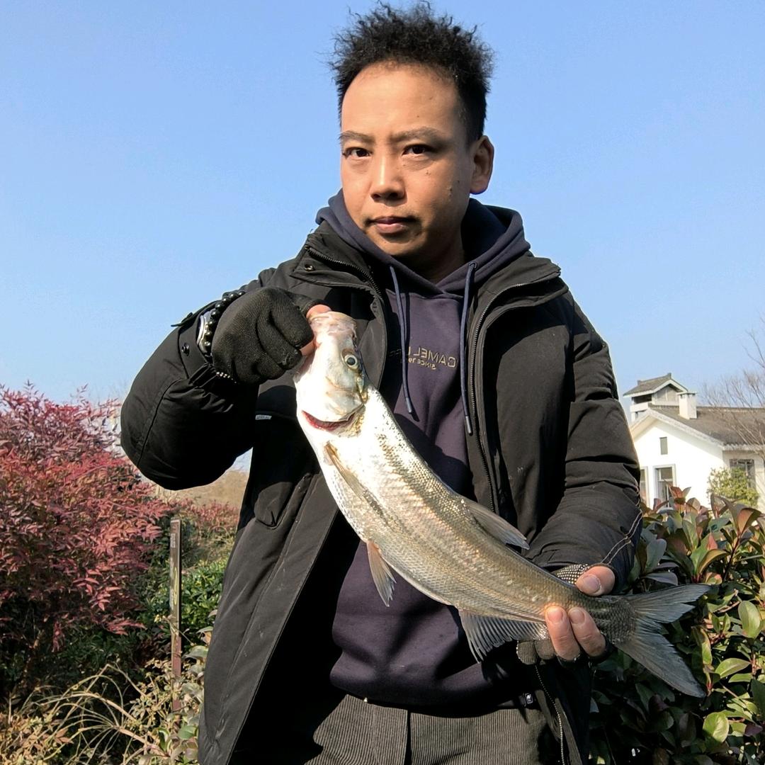 袁～滚滚（🎣）