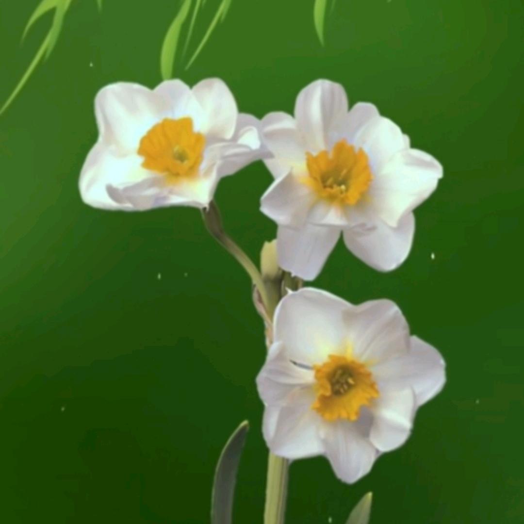 ♥♥芳姐♥♥