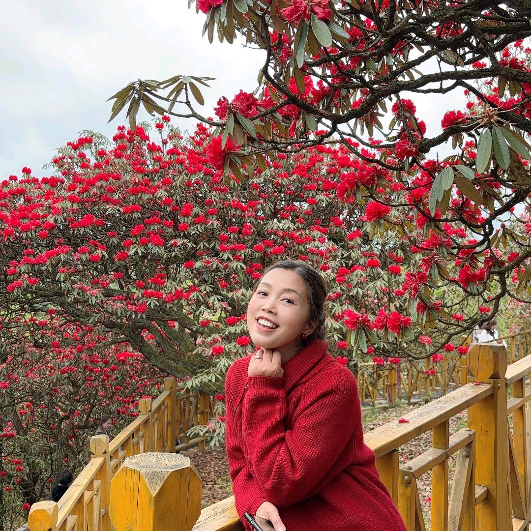 翠花🌺