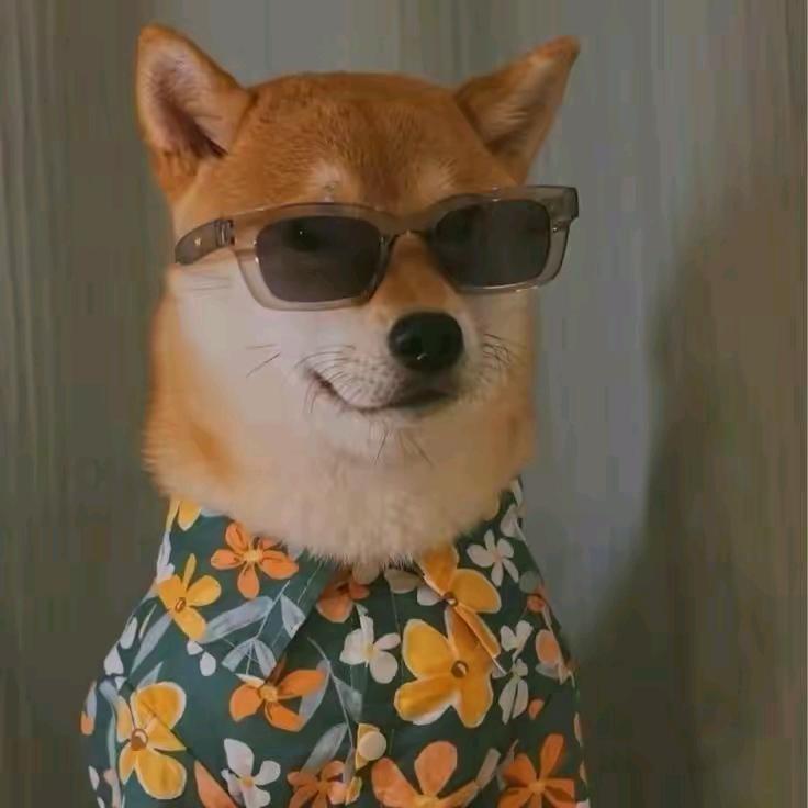 四季花