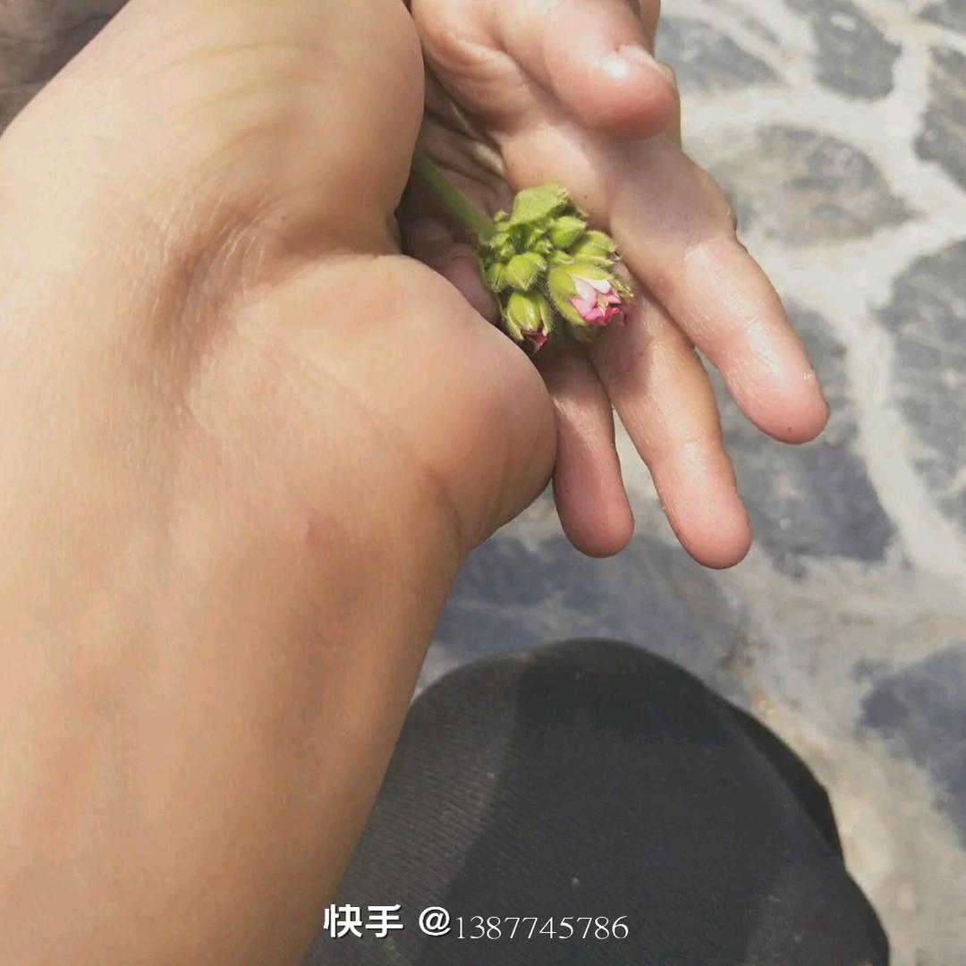 古麻小号