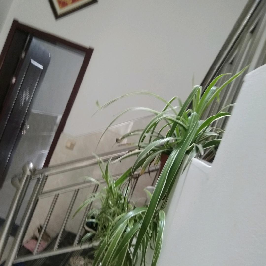 容静