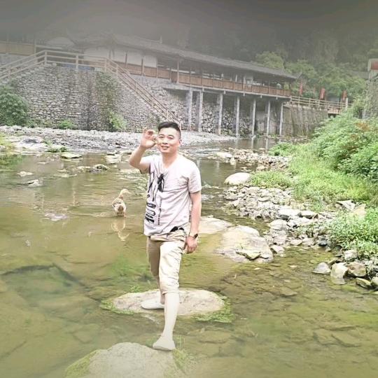 高锅