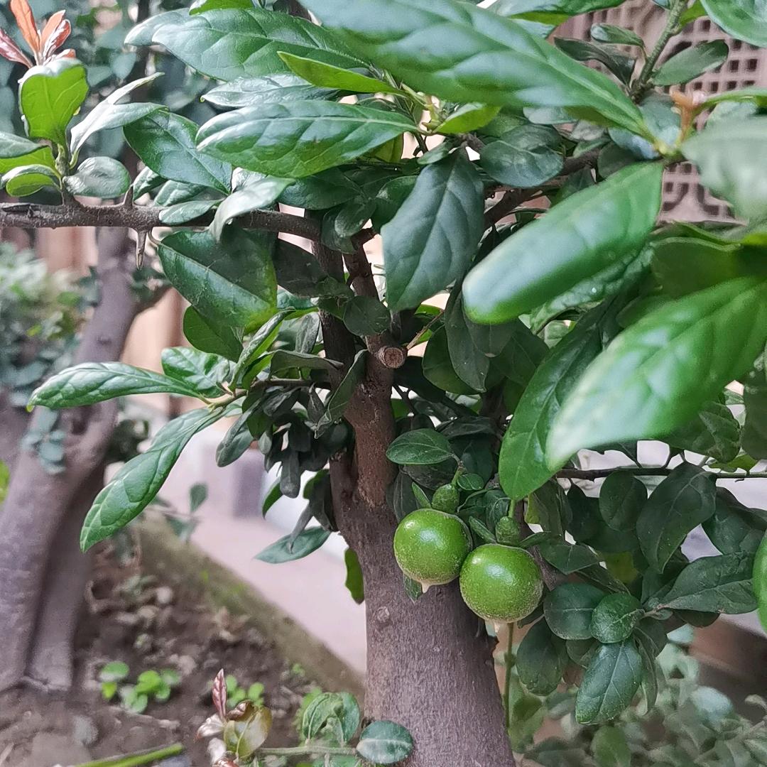 暖心向洋