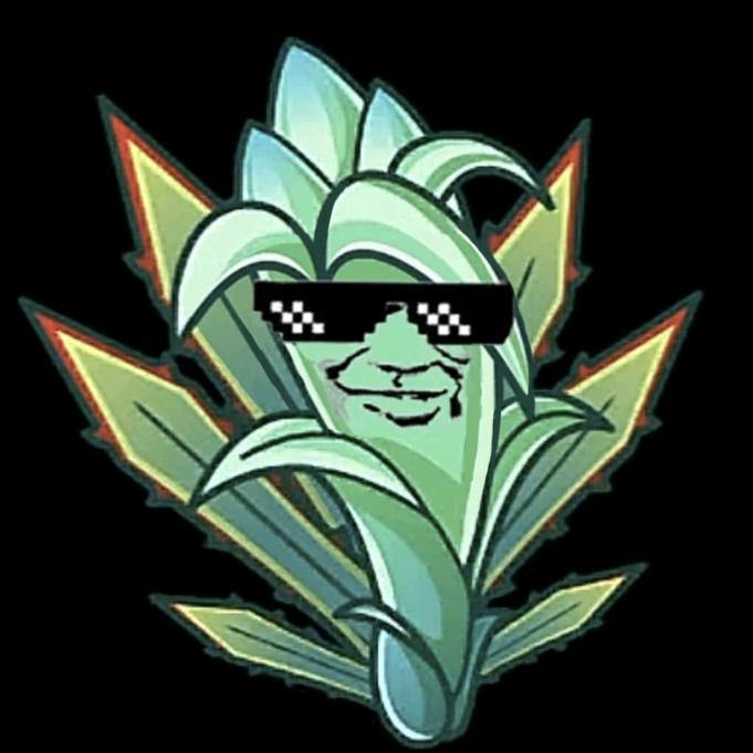 龙舌兰大帝