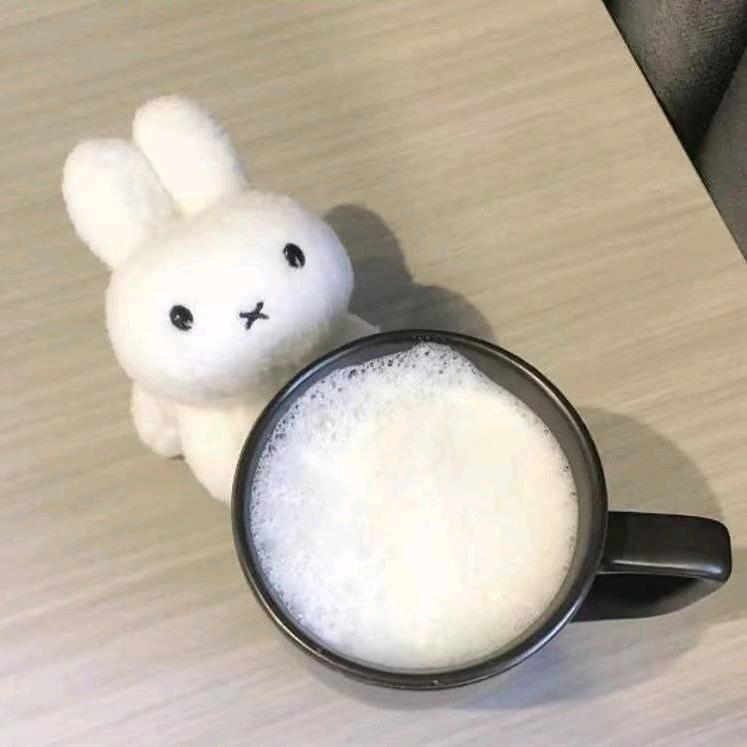 我其实是个疯子吧？