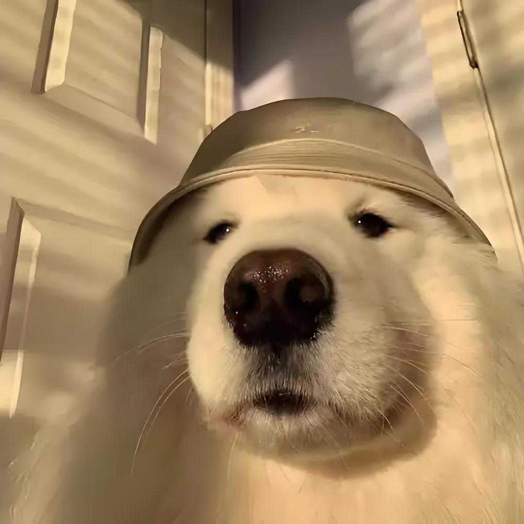 开心小卜