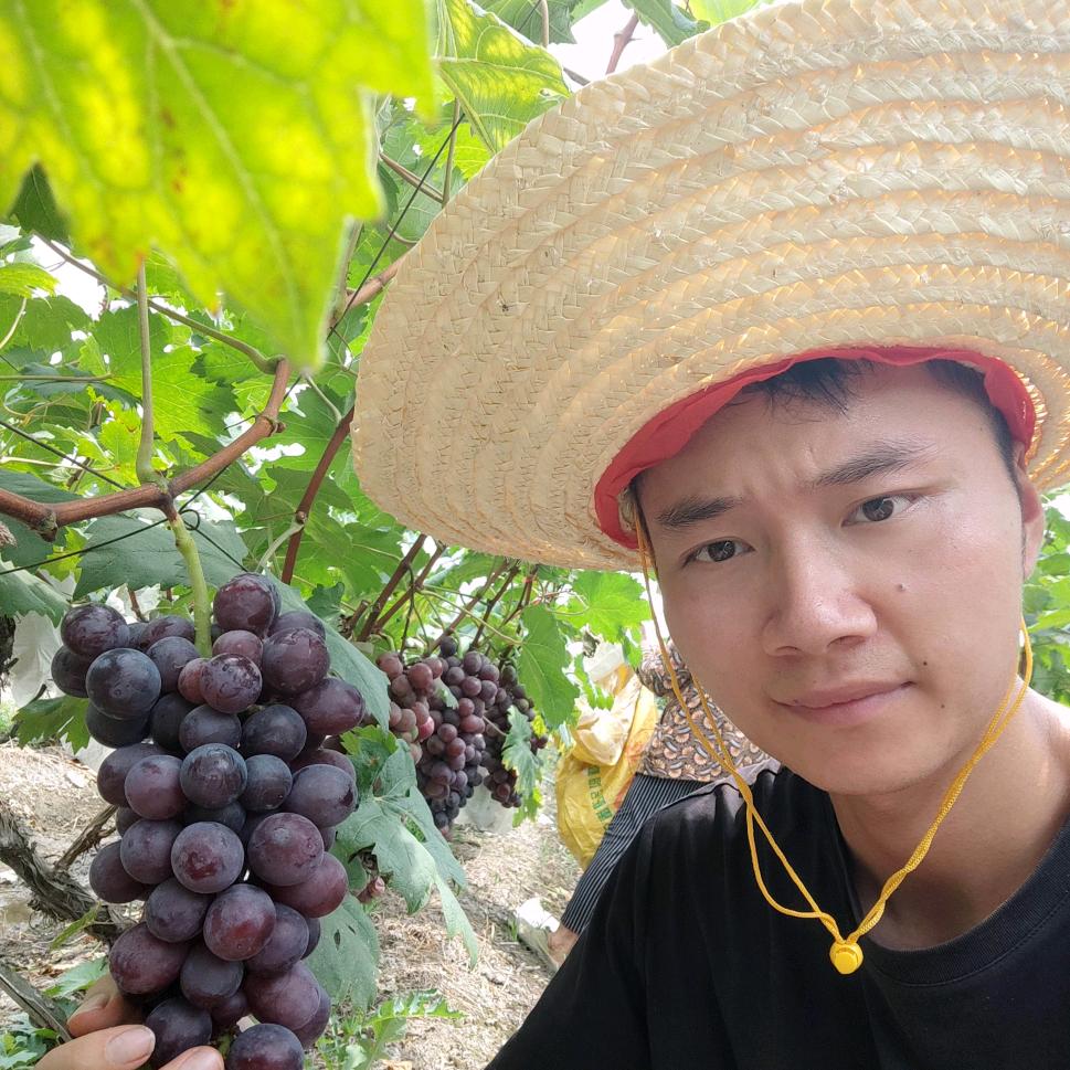 刘小刘