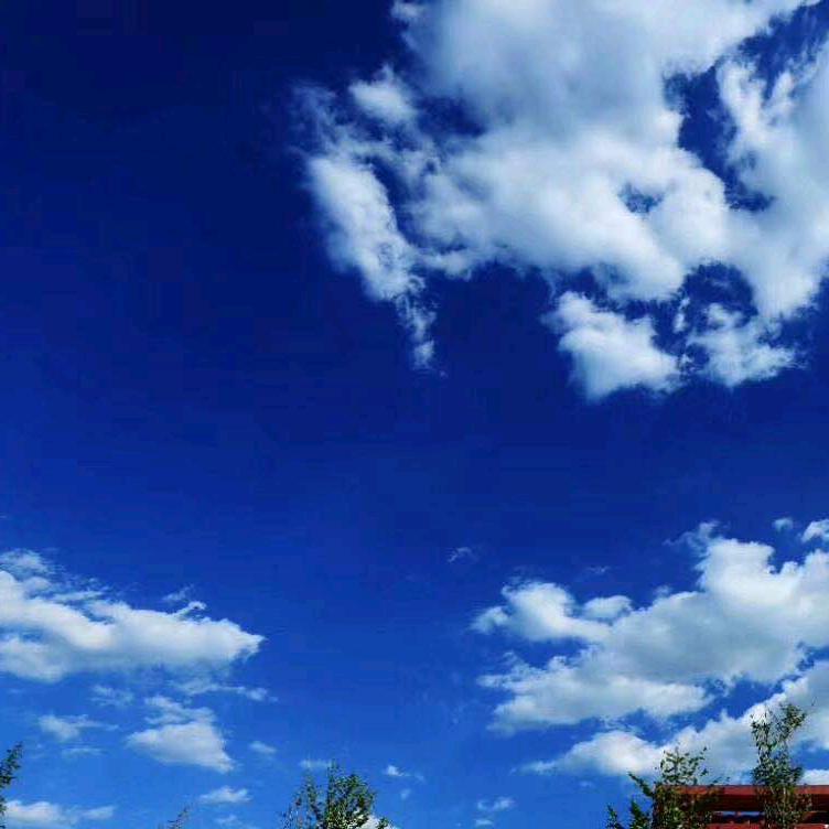 莫空图