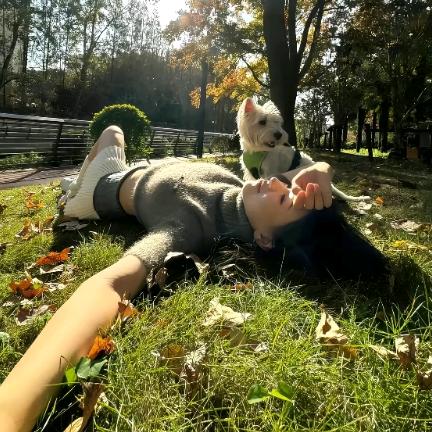 诺安ε٩(๑> ₃ <)۶з