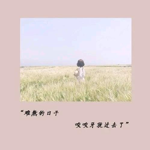 露露花开ヽ灬