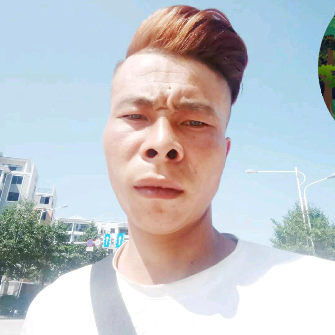 杨晓燕