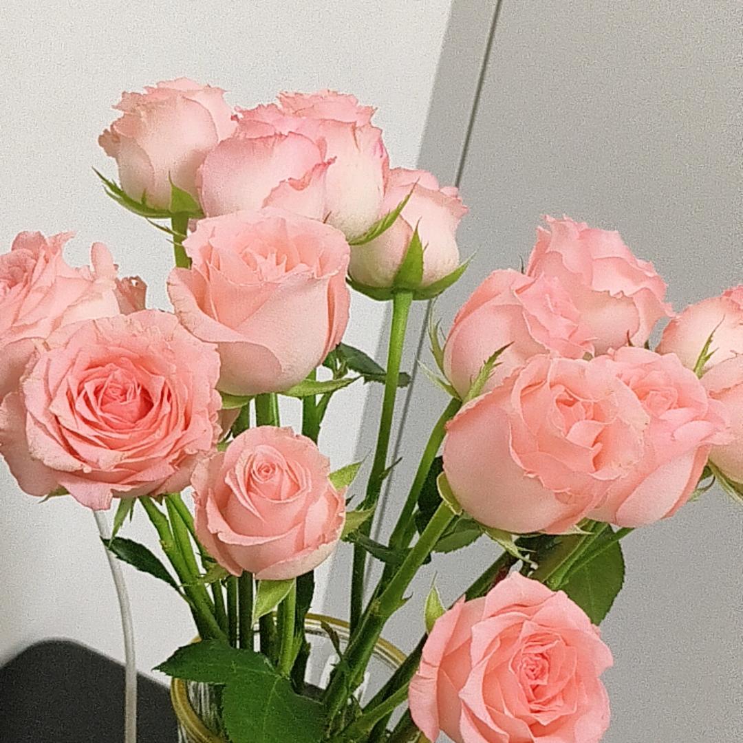 小芒果