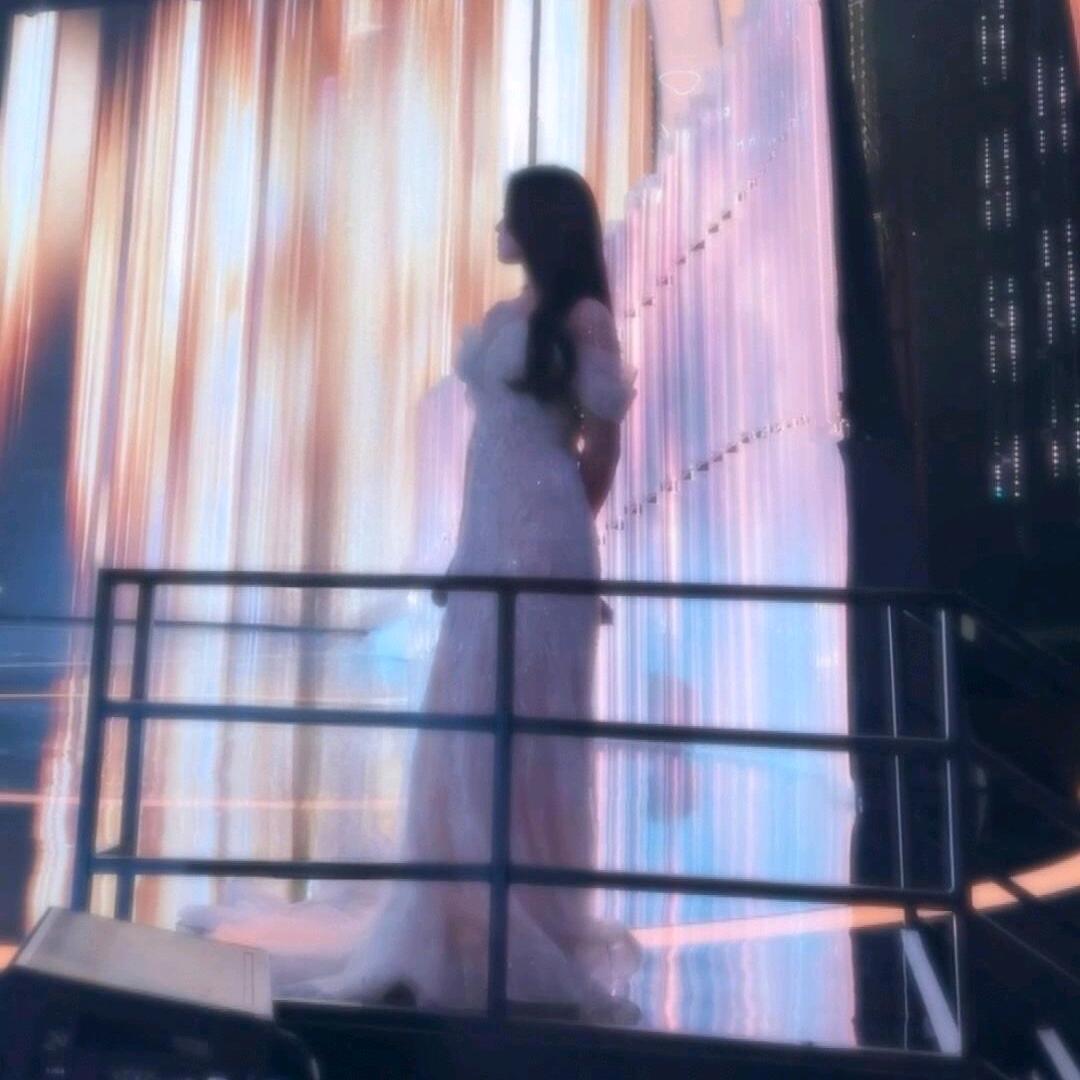 沪上入户汪小汪2号