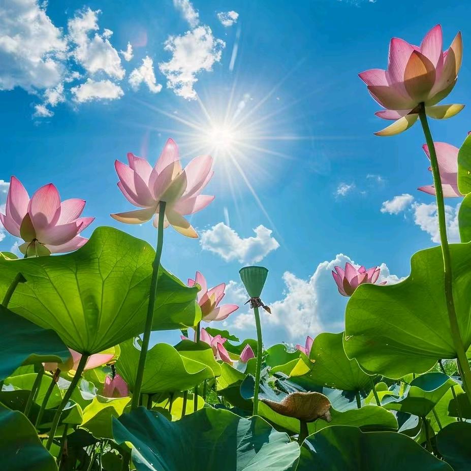 小五家居百货仓