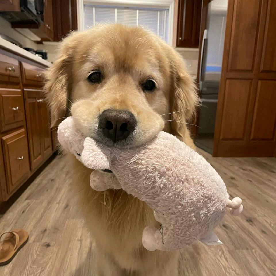 今夜我不关心人类