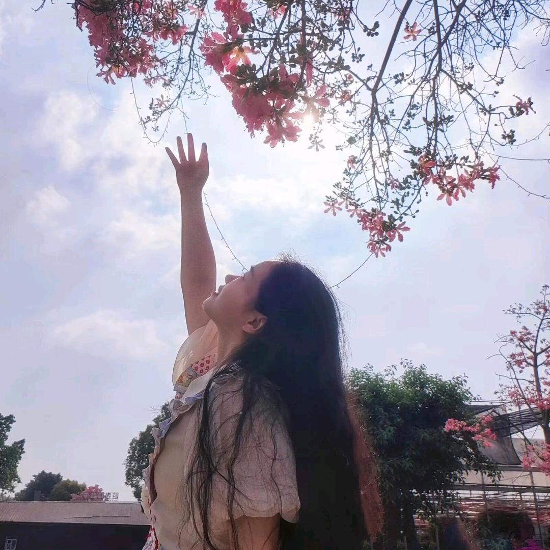 木棉花【同款在橱窗】