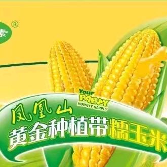 五常市毅卓农业发展有限公司