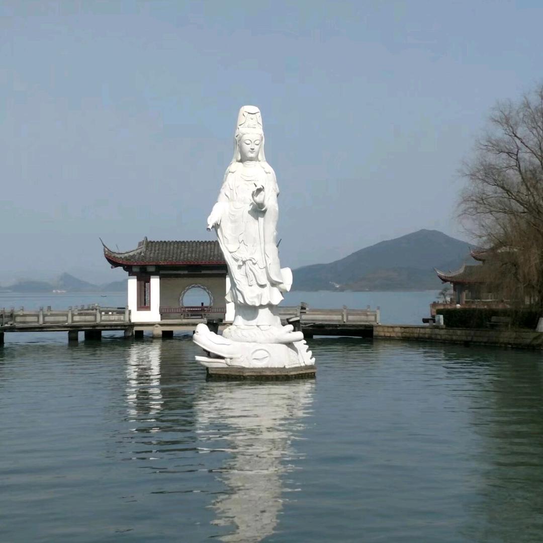 越豹双虎