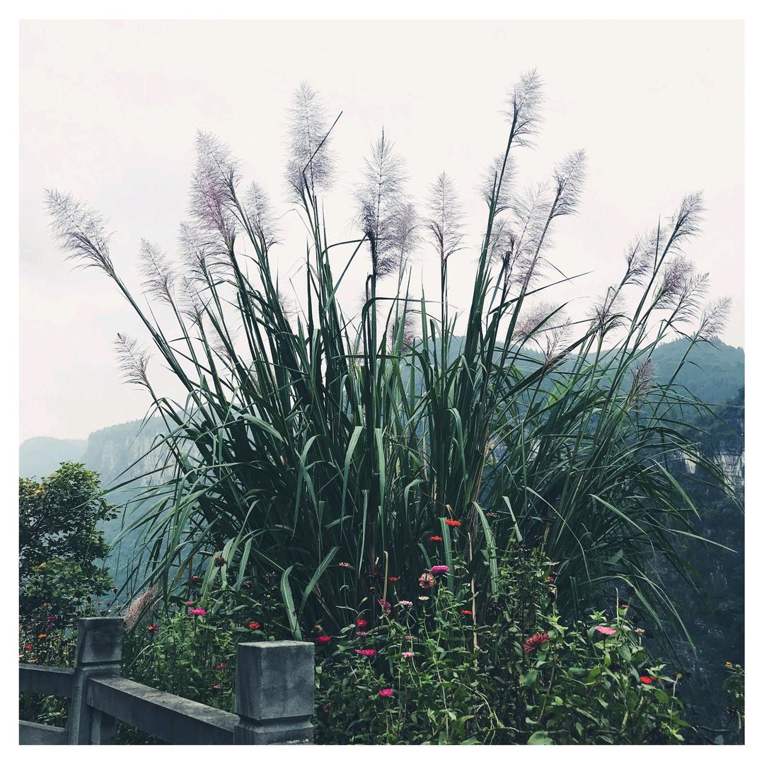 优推
