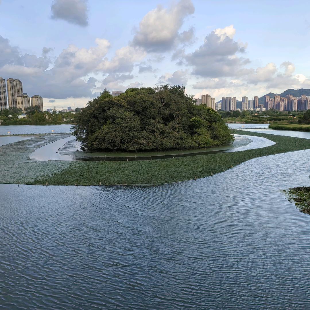 小生这厢有礼了