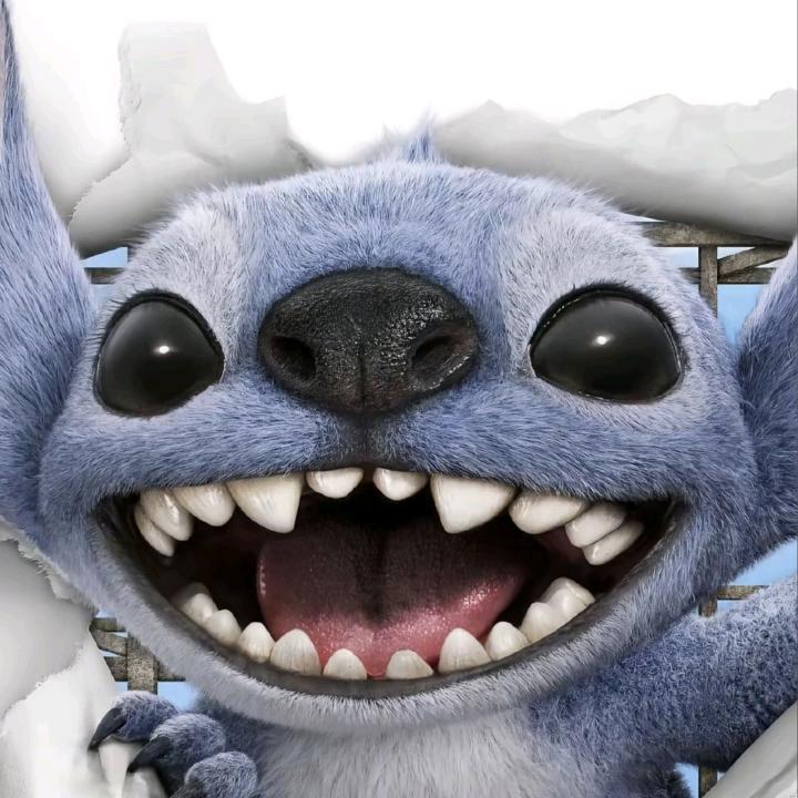 哇哇叫的史迪仔