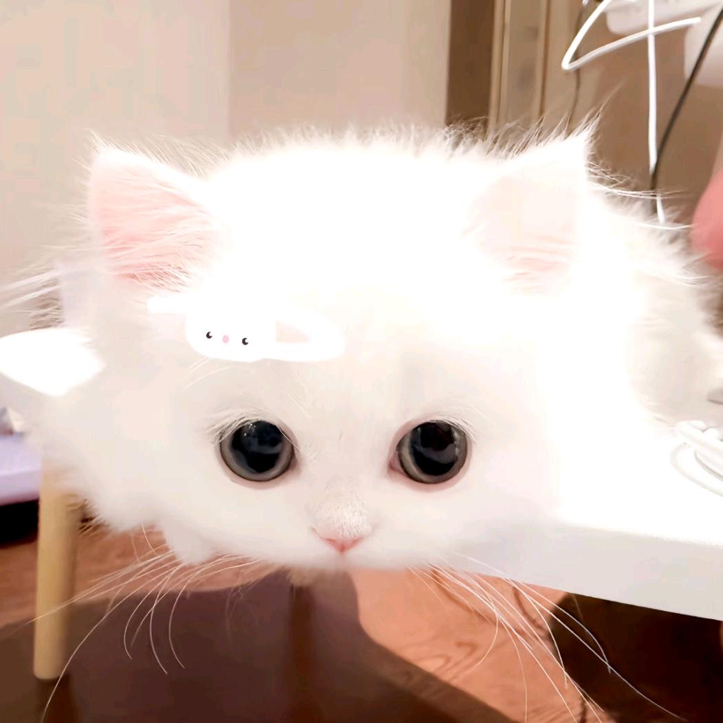 西流湖里的鸢尾