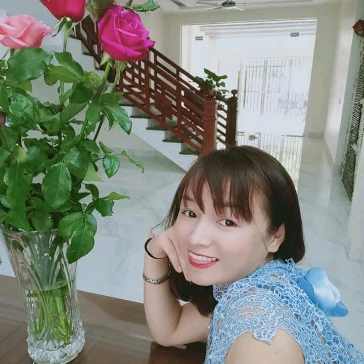 Ha彩霞中越贸易