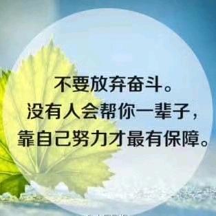 小树林