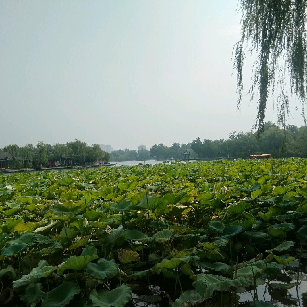 心灵的成长
