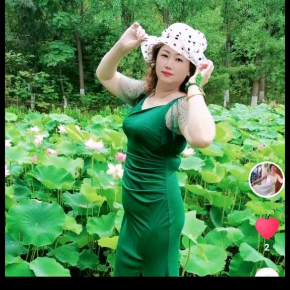 金银花