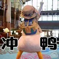 泽天手机