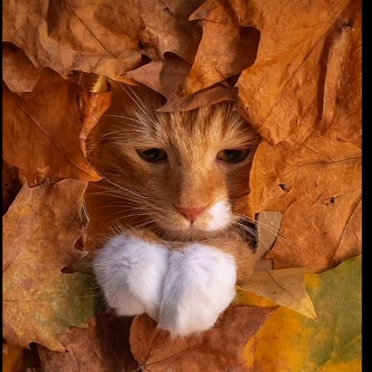 现代化中国建设者