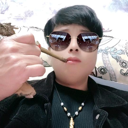 龙的传人