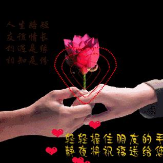 🥀快乐过一生（真诚相待）