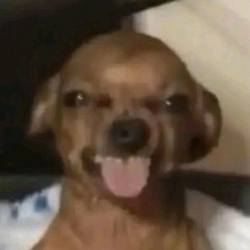 憨憨