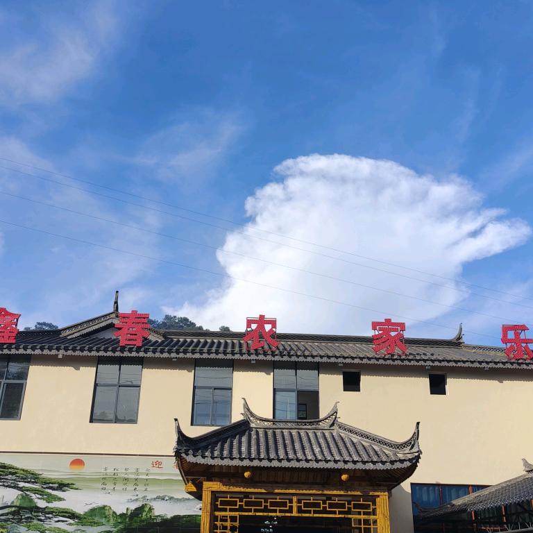 鑫春