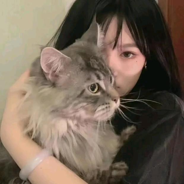 ฅ ฅ.