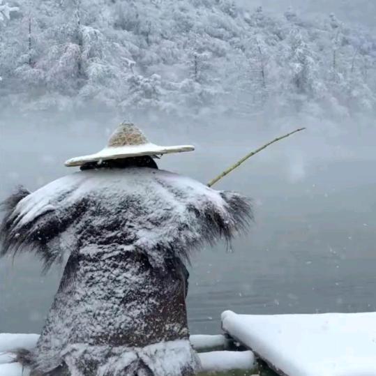 独钓寒江雪