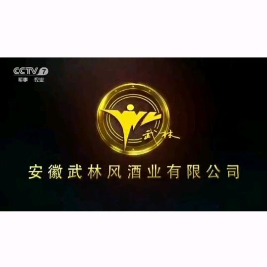 武林风酒业(降总)