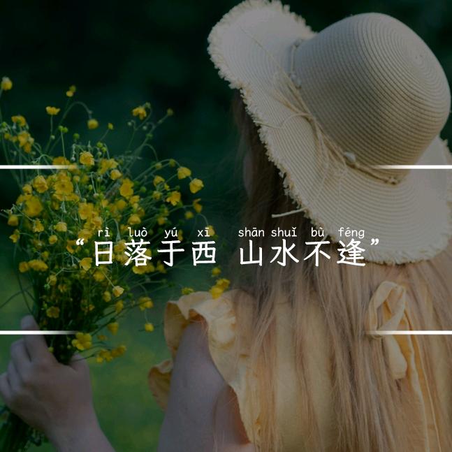 梦随风～