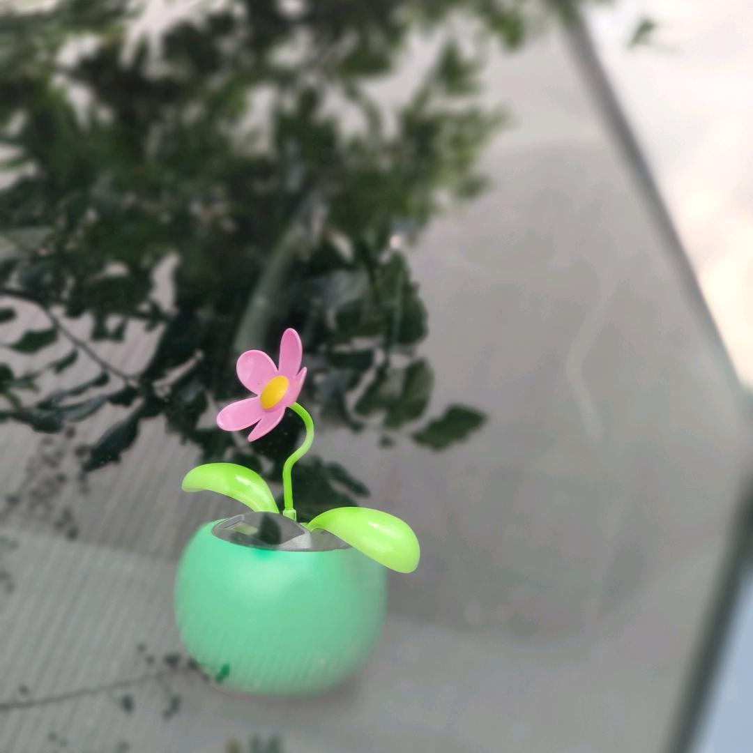丹YYD