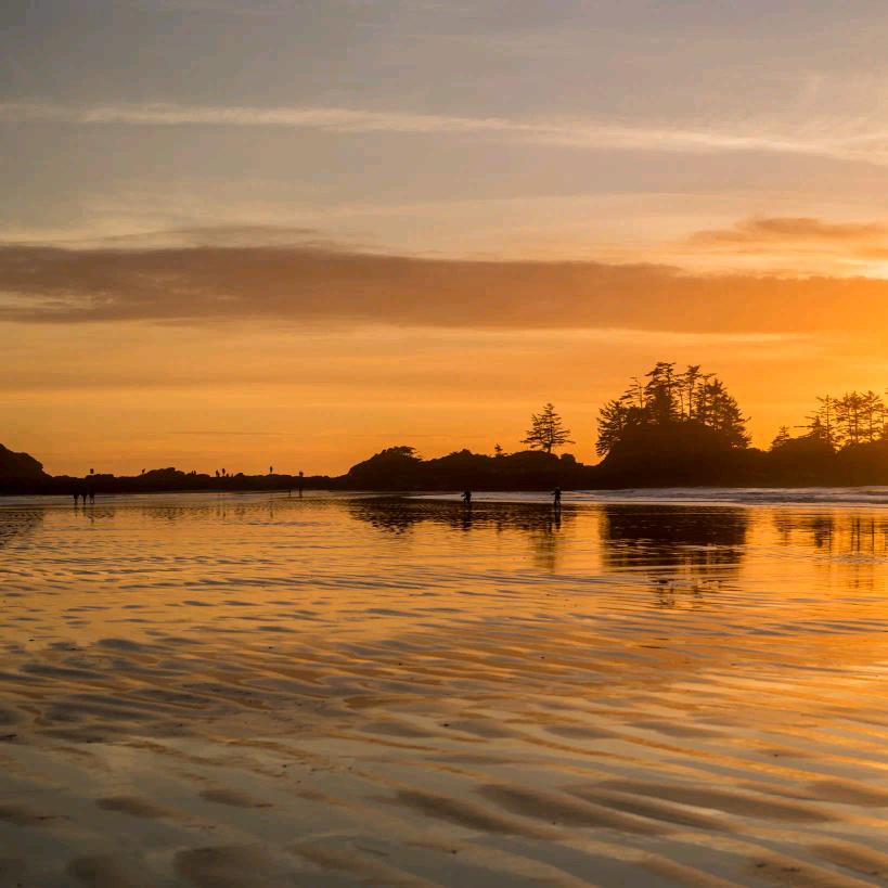 汽喆花花胡话直播号