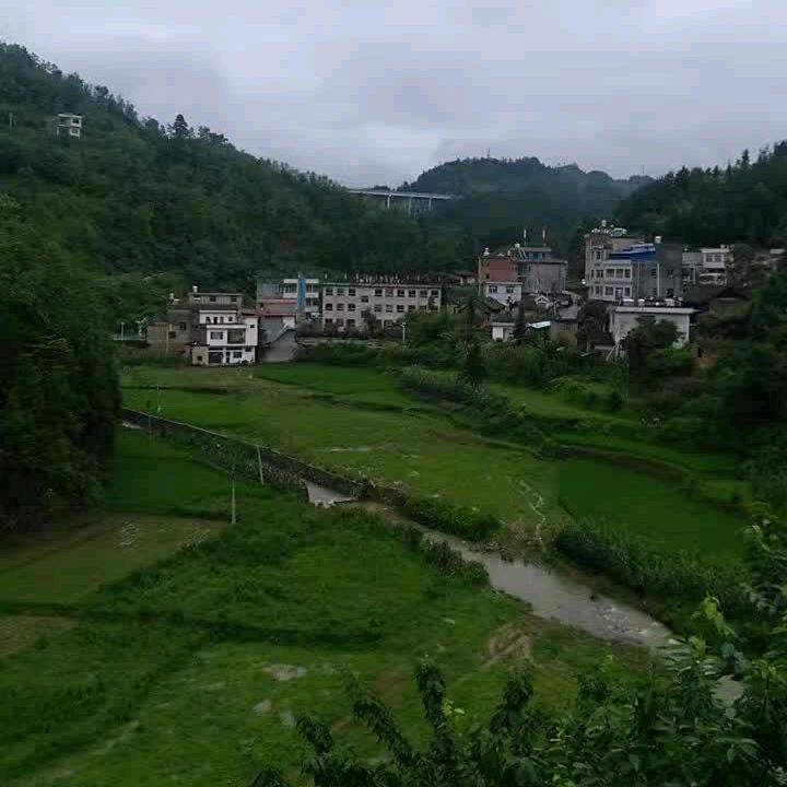 被世界遗忘的我