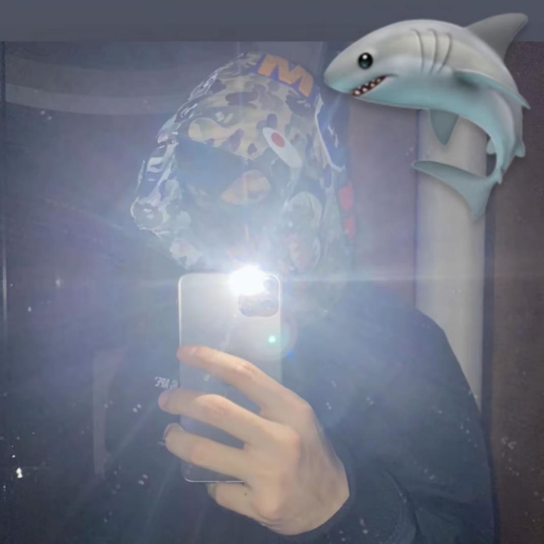 大白鹅🦢