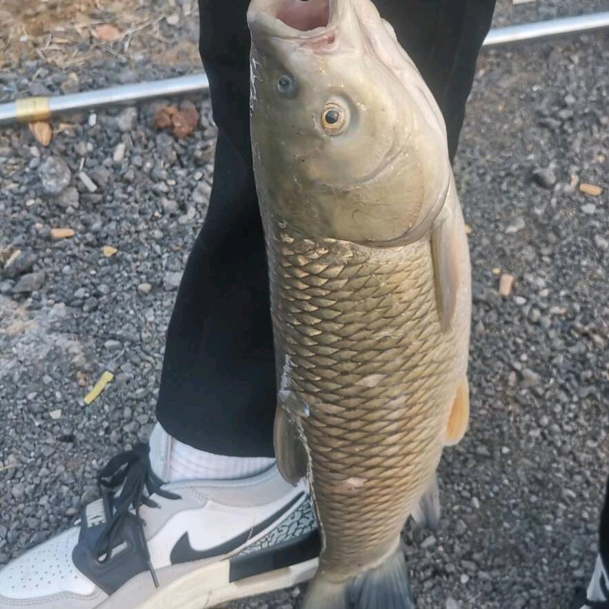 大丰收采摘垂钓园小刘