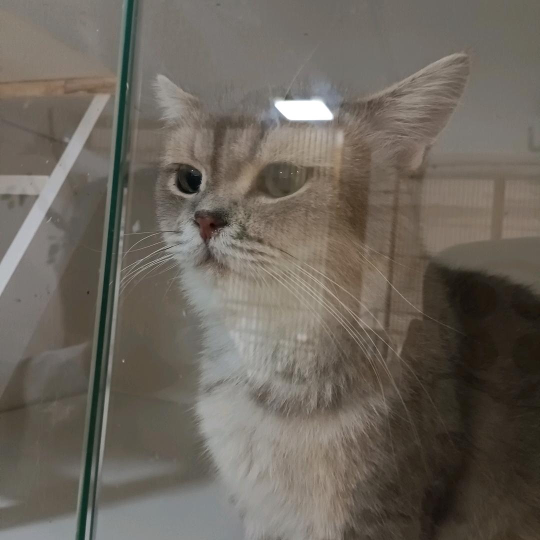 我讨厌英文名。