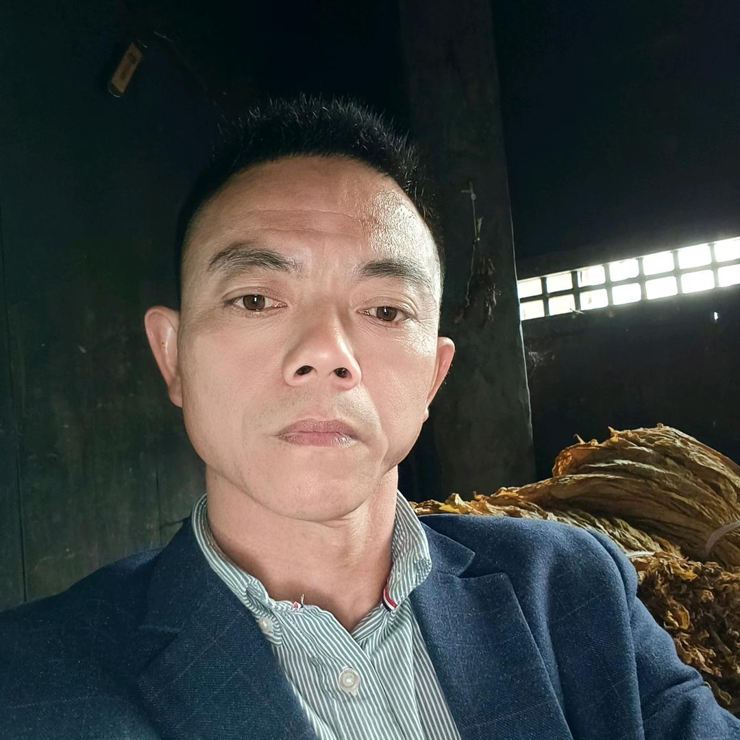 印象石马:黎伟