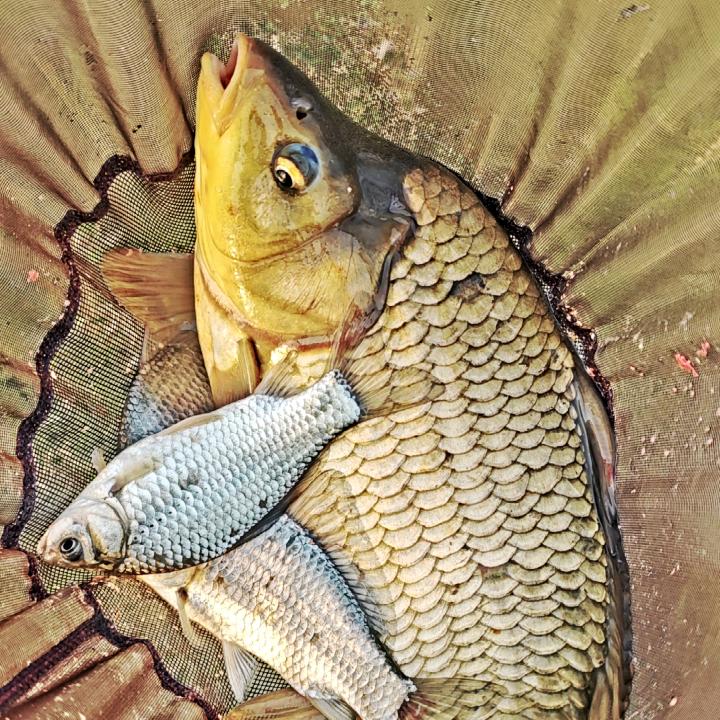 好竿用在刀刃上🇨🇳