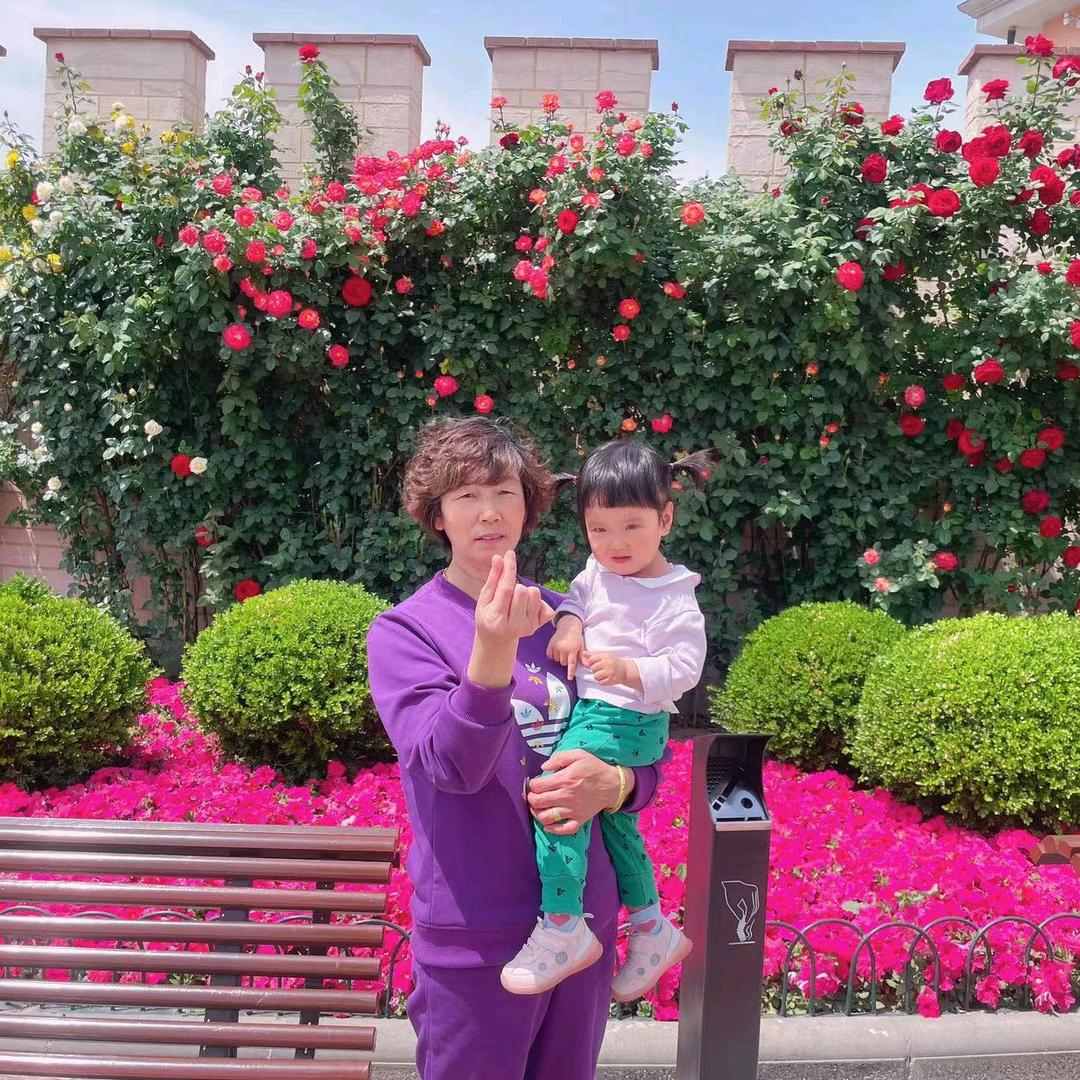 蓝天下的樱花660